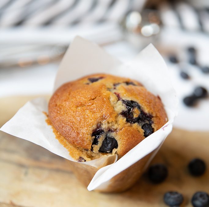 Josie's Best Basic Muffin with Blueberry Gluten-free Recipe