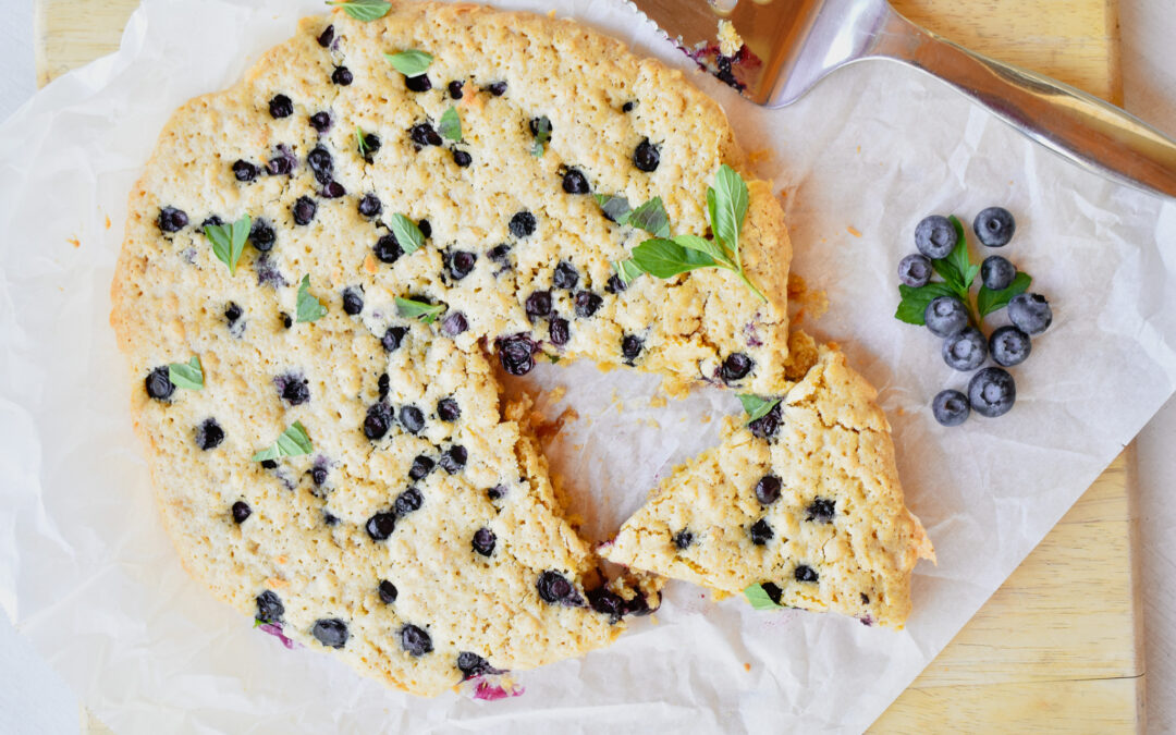 gluten free blueberry bars