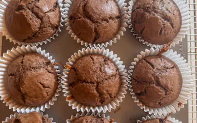 Chocolate Gluten Free Muffins