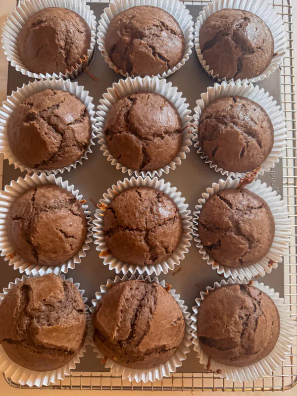 gluten free muffins
